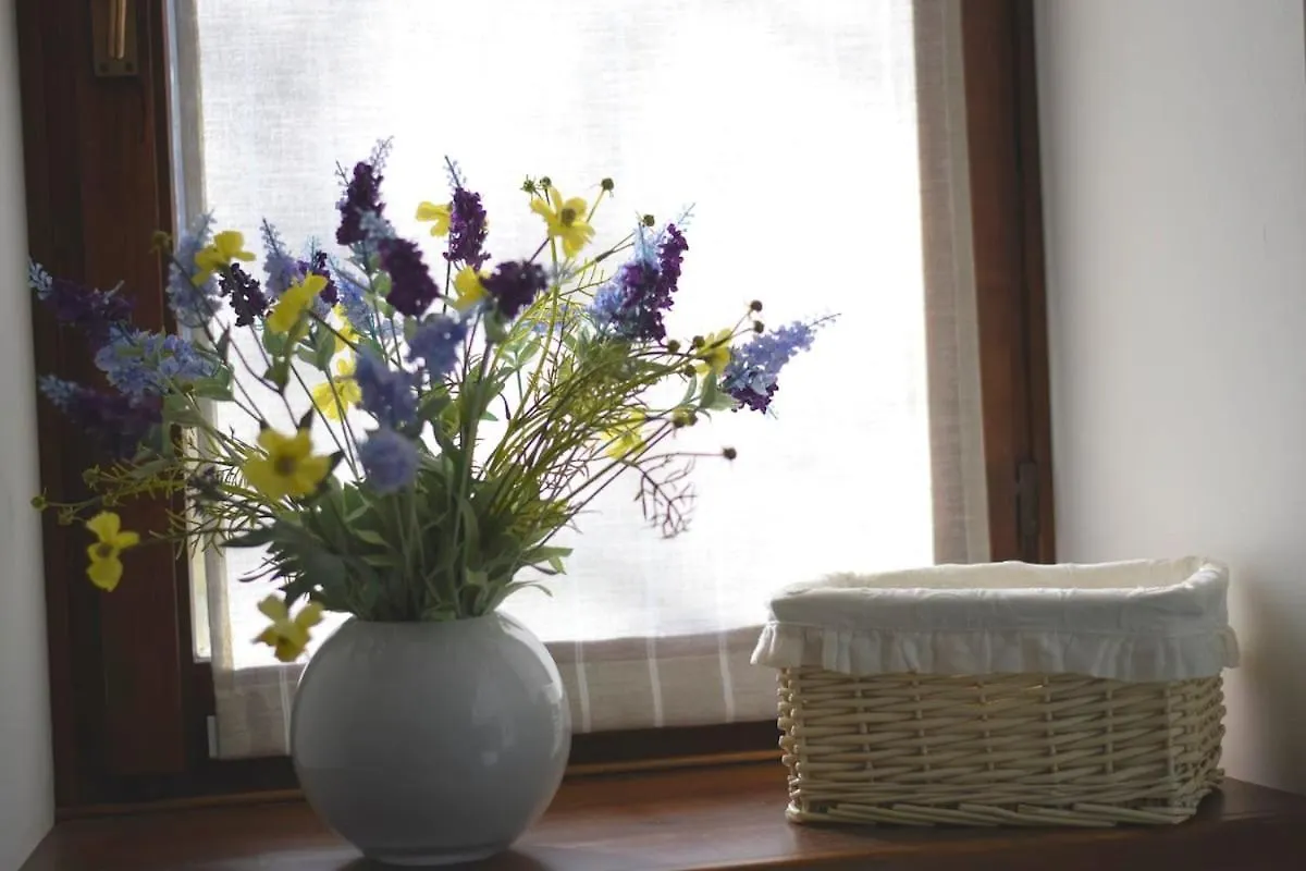 度假居 Guss Cottage Como Lake Great View 奇文纳
